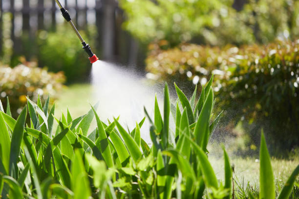 24/7 Emergency Fumigation Services experts in Nashville, NC